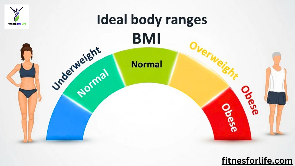 Find Your Ideal Body Range